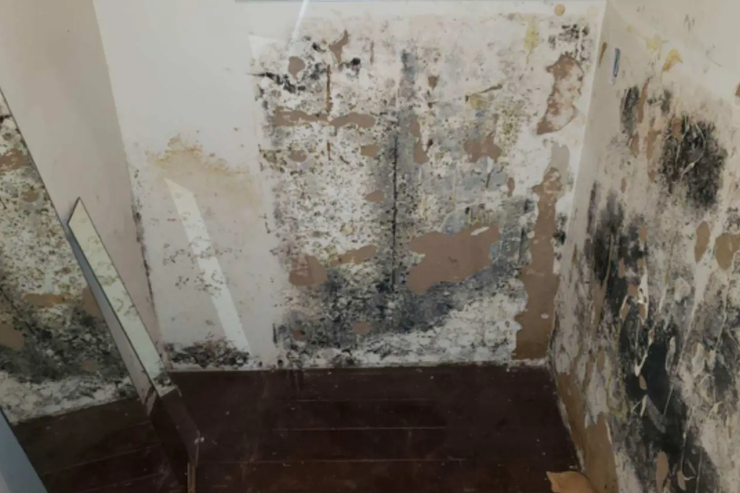 A bathroom with mold and water damage.