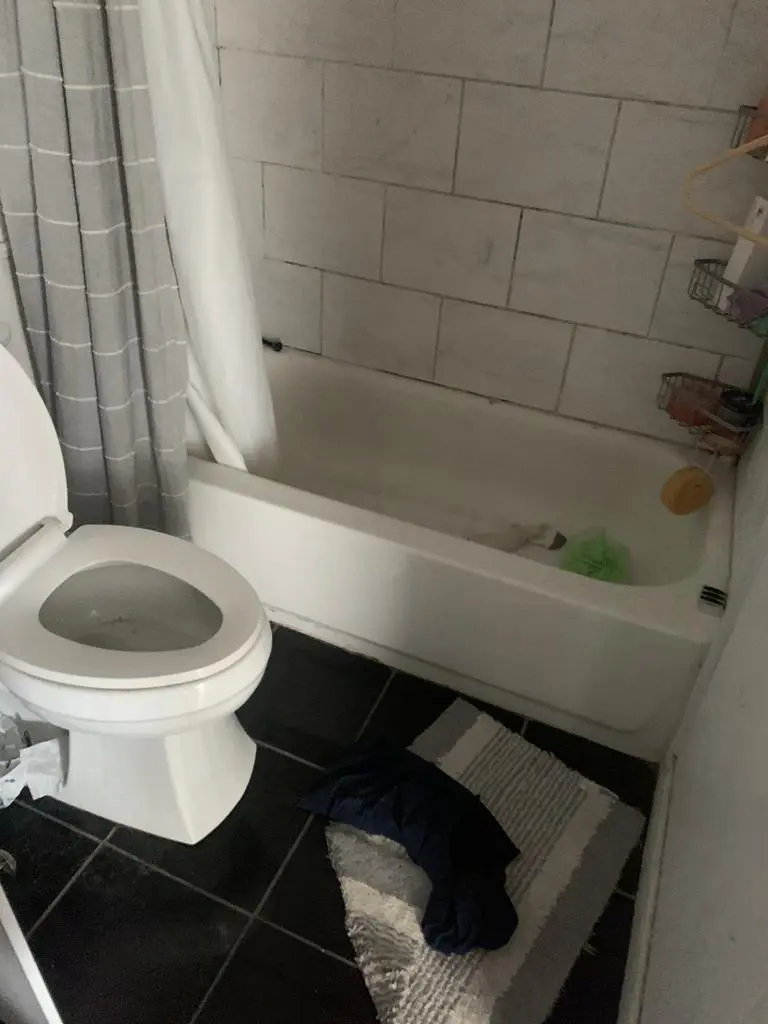 A bathroom with a toilet and bathtub in it